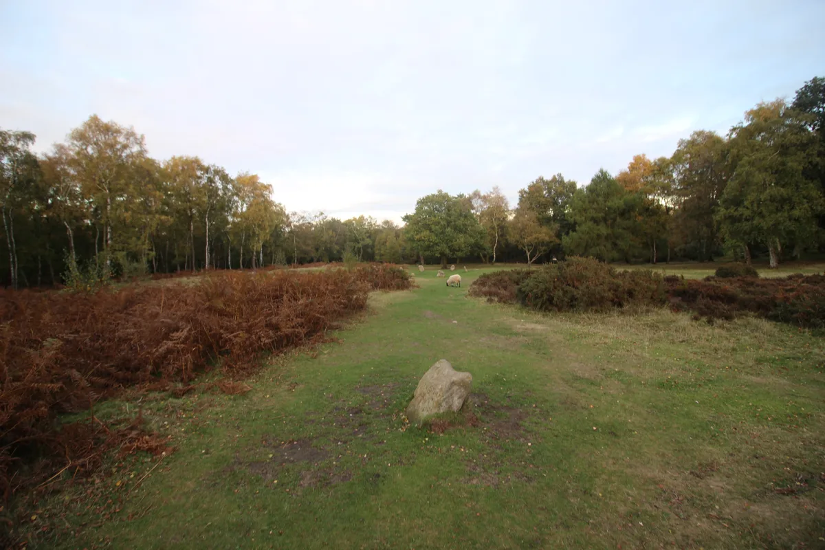 Bronze Age burial, ceremonial and settlement remains on Stanton Moor, and evidence for medieval, post-medieval and 19th to early