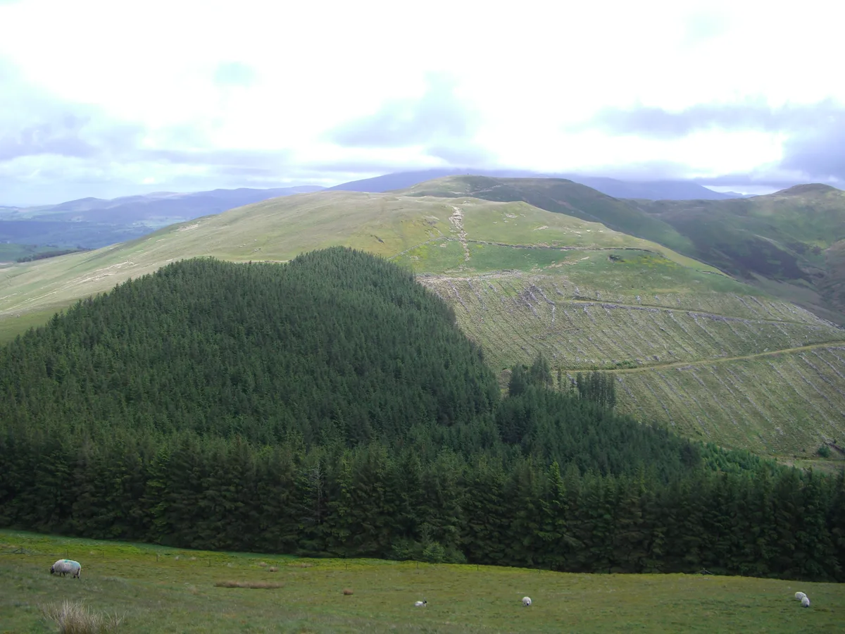 Broom Fell