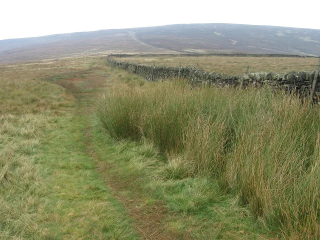 Brown Knoll