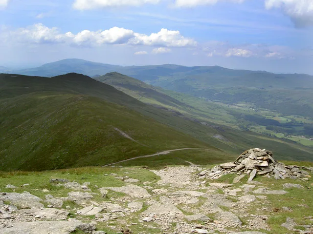 Brown Pike