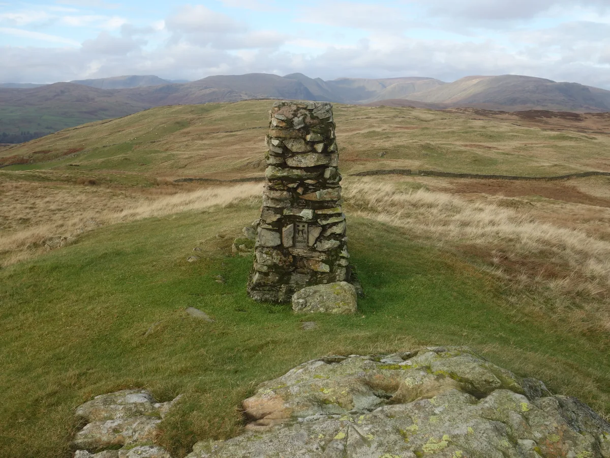 Brunt Knott