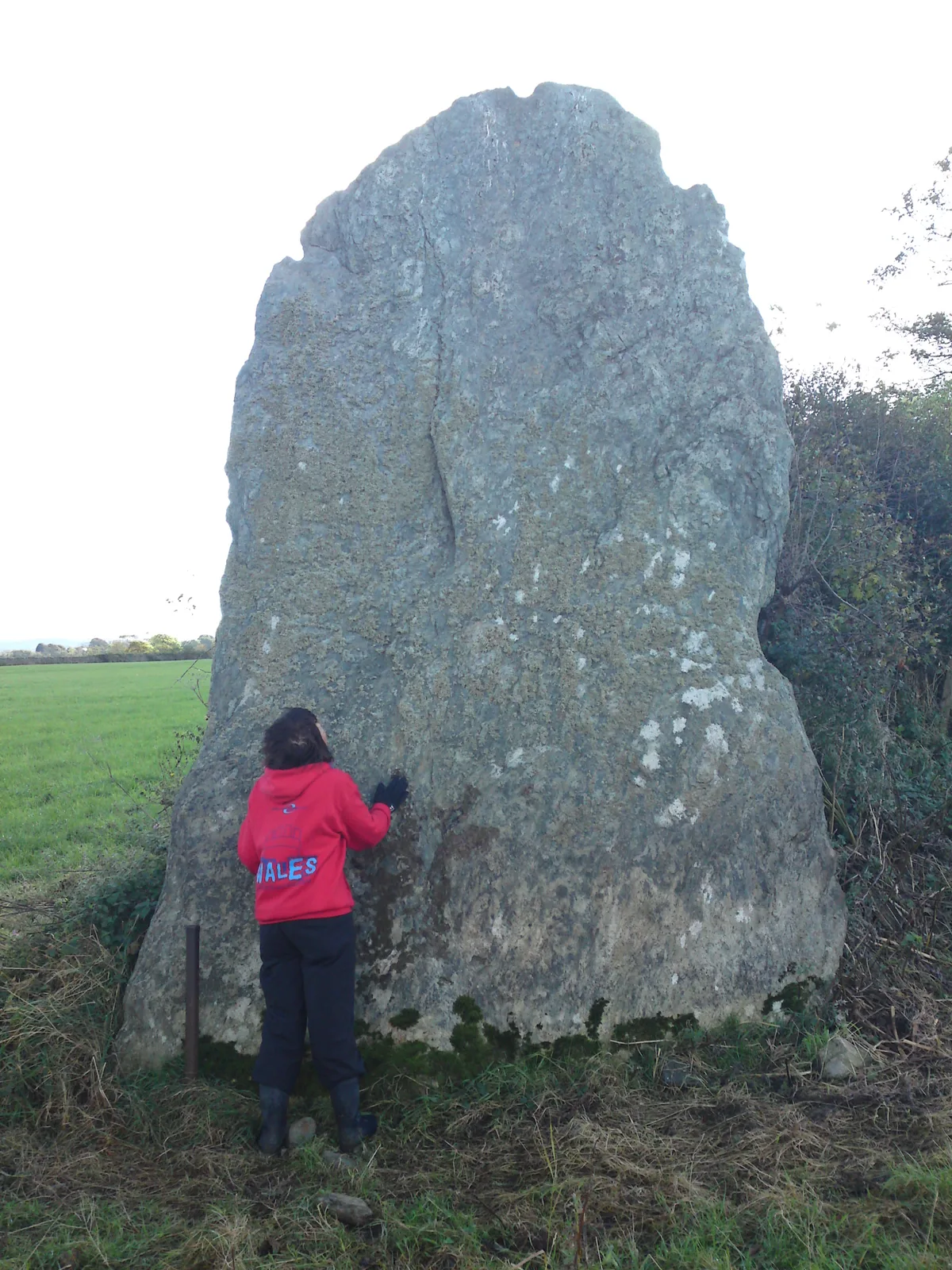 Bryn Gwyn stones
