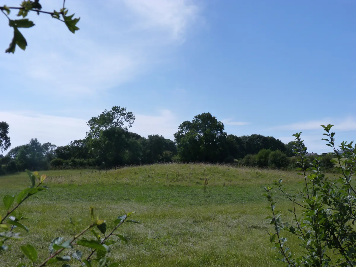 Brynsiencyn Round Barrow