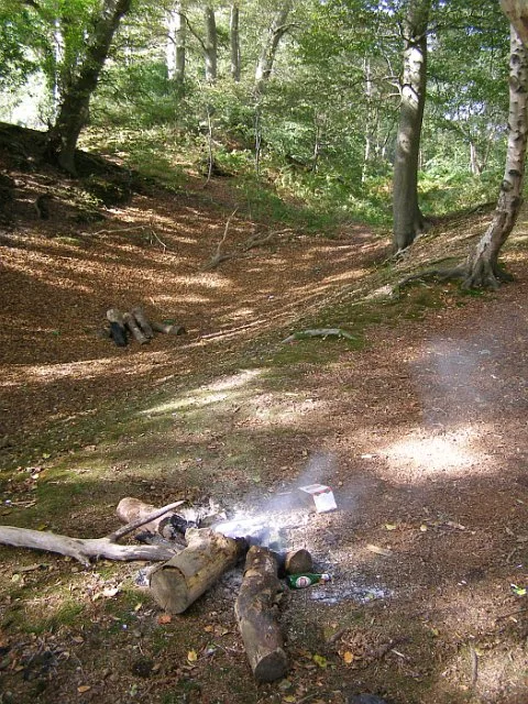 Buckland Rings