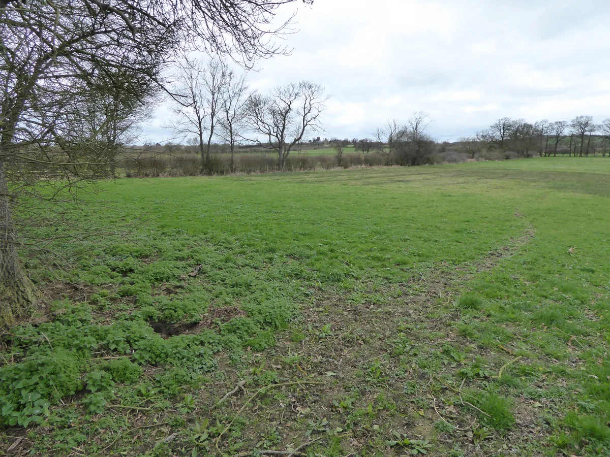 Bugbrooke Meadows