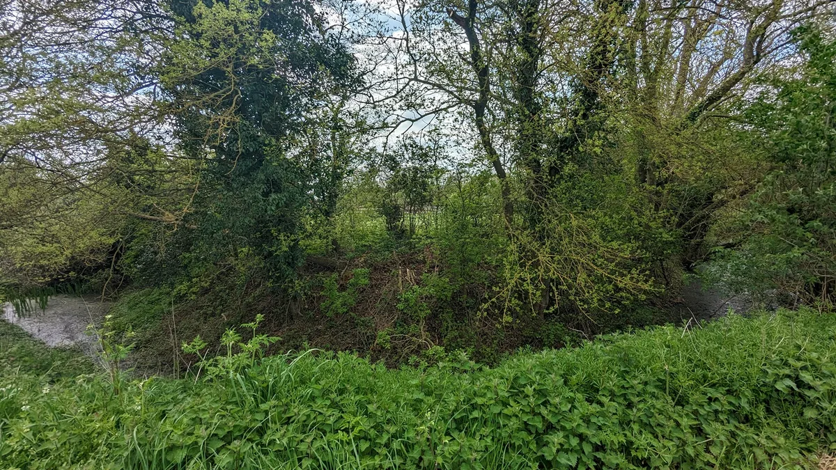 Burgate Hall moated site