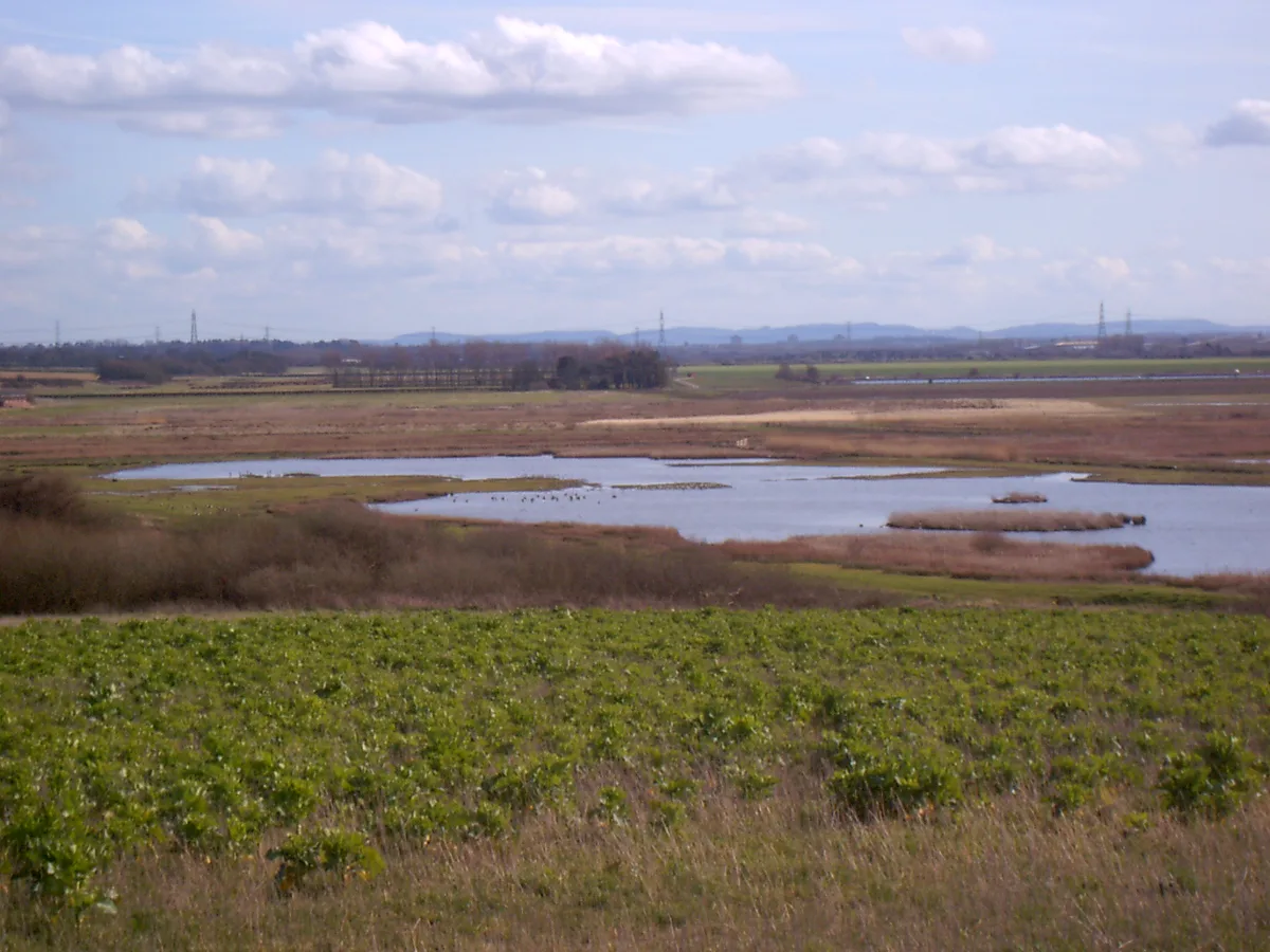Burton Mere Wetlands