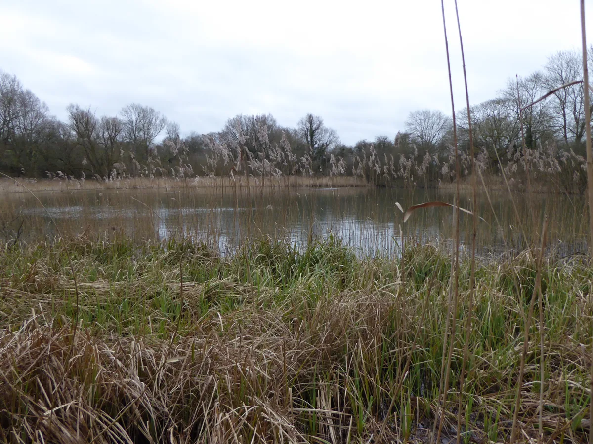 Byfield Pool