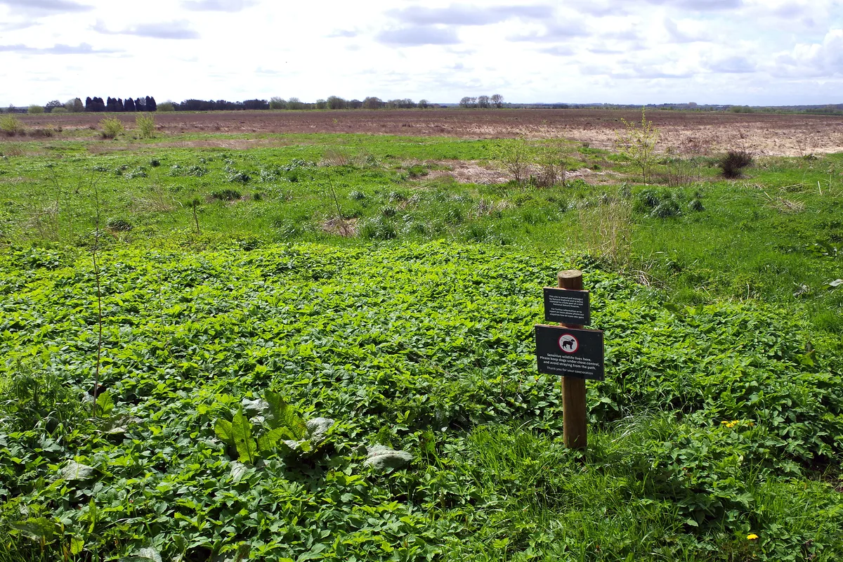 Cadishead and Little Woolden Moss