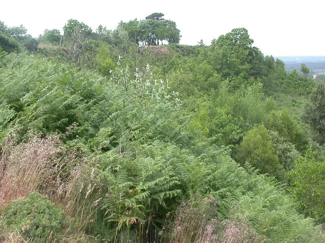 Caesar's Camp, Rushmoor and Waverley