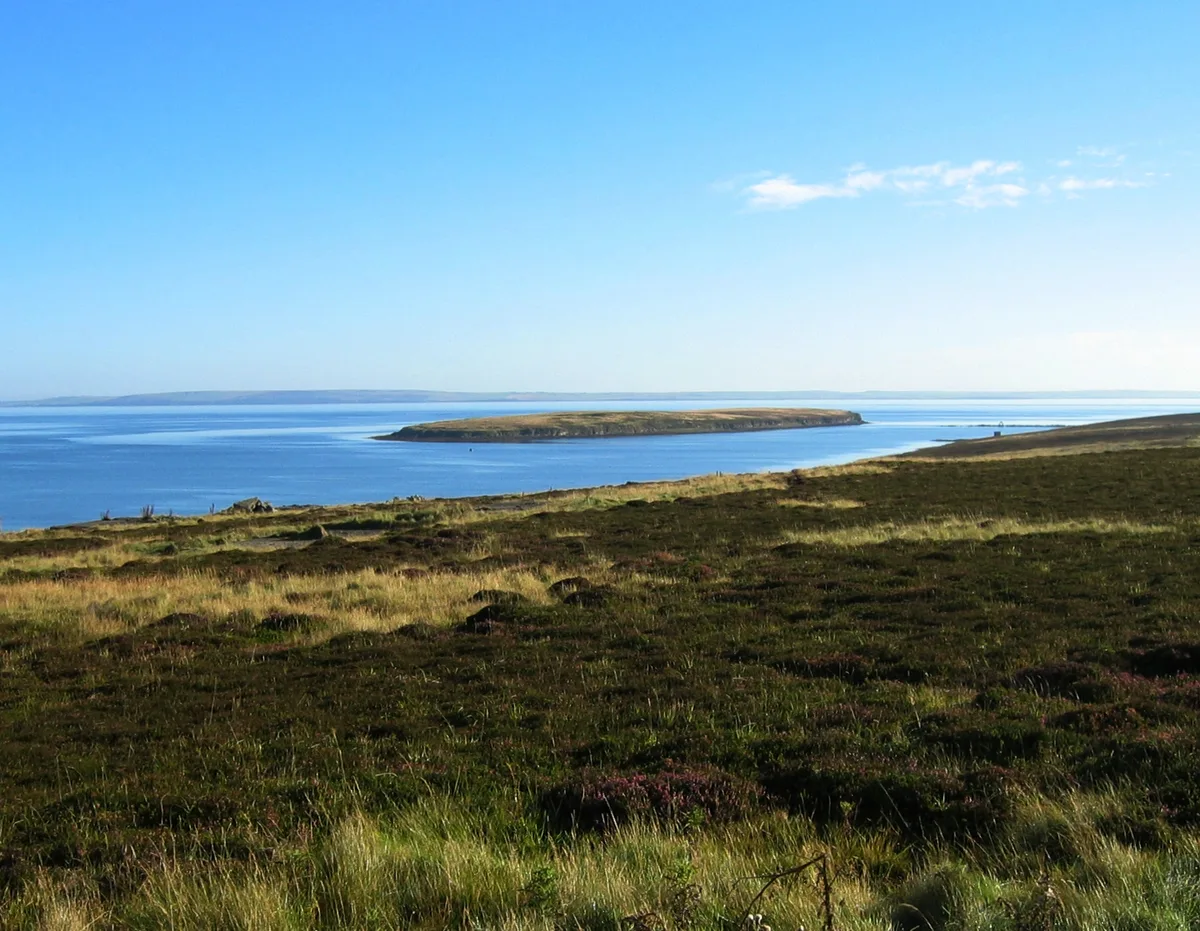 Calf of Flotta