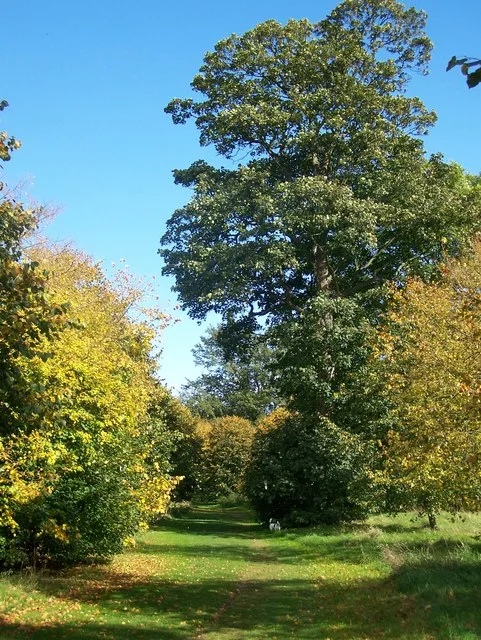 Camer Park Country Park