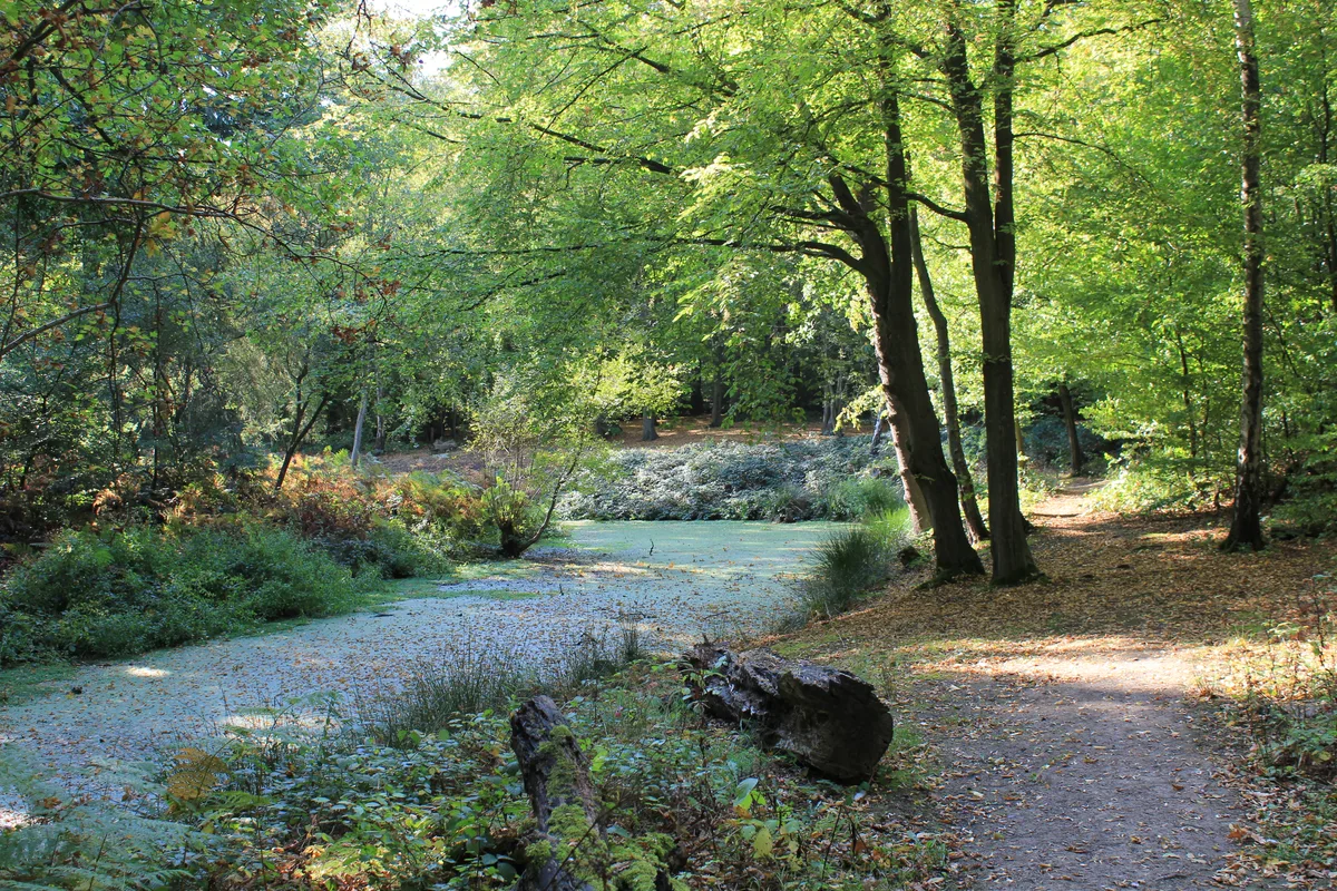Camlet Moat