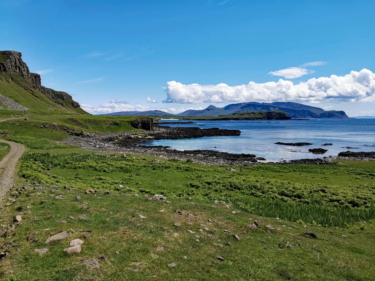 Canna