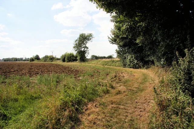 Captain's Wood