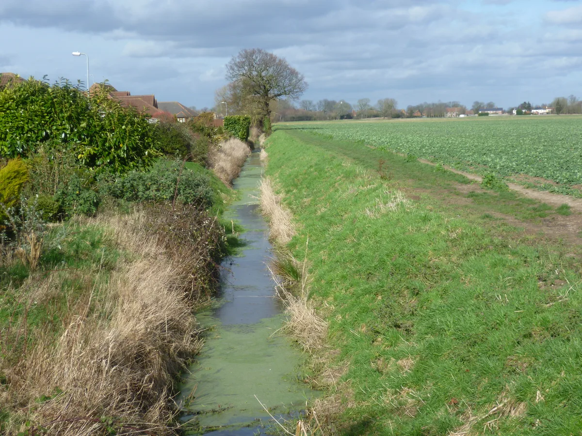 Car Dyke, S of Dyke