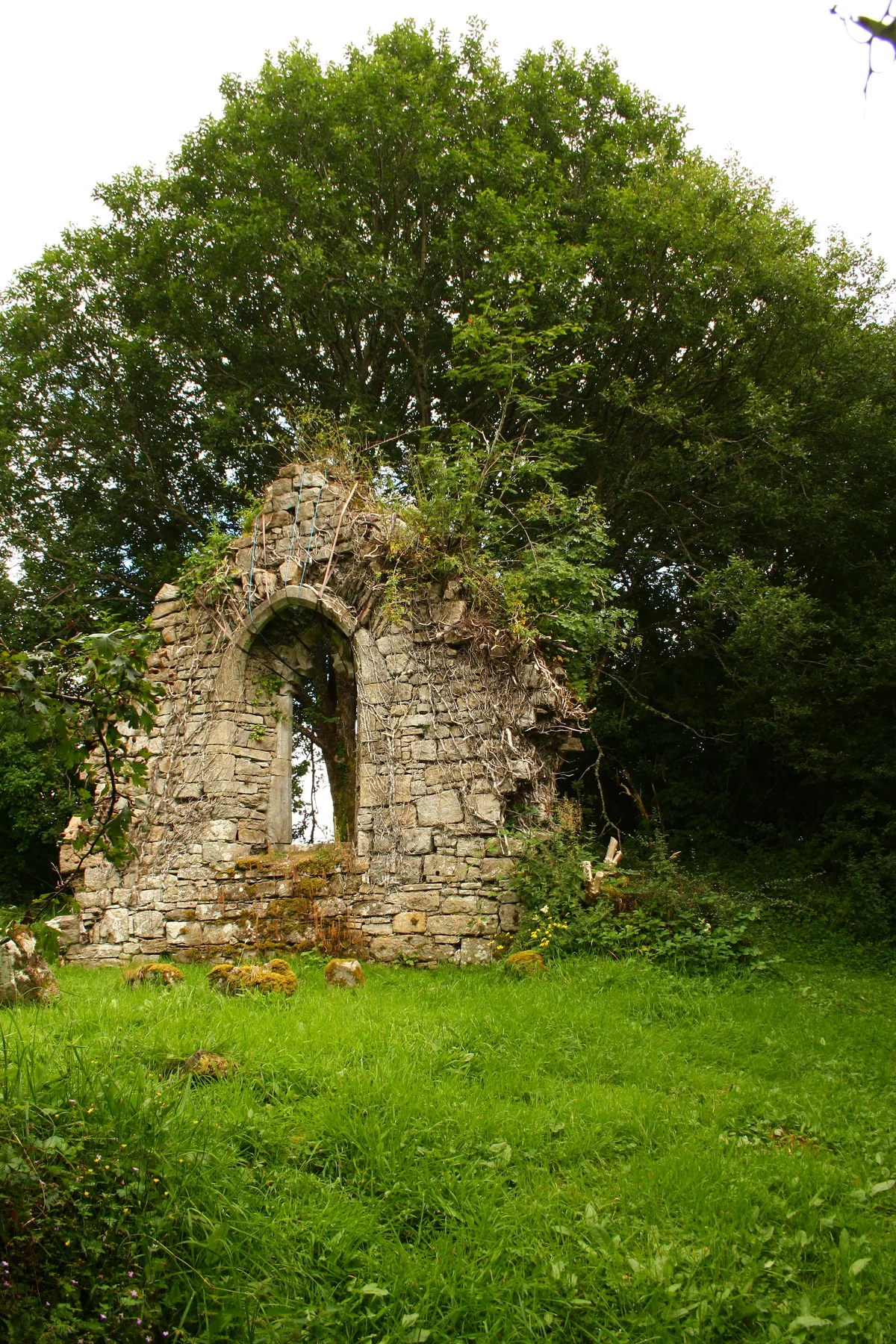 Carrick Church