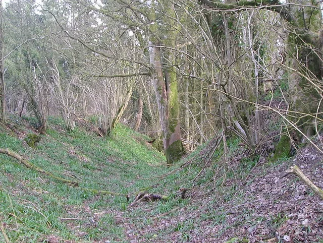 Castell Gwynionydd