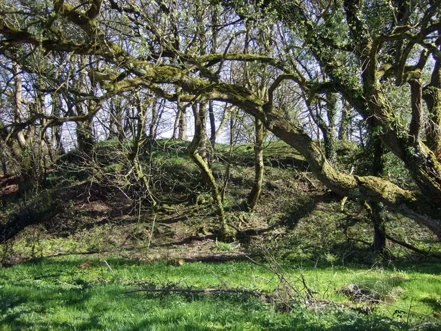 Castell Haidd