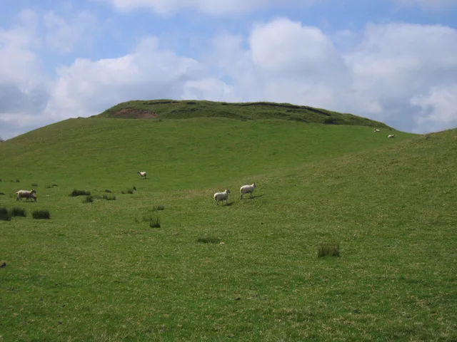 Castell y Blaidd