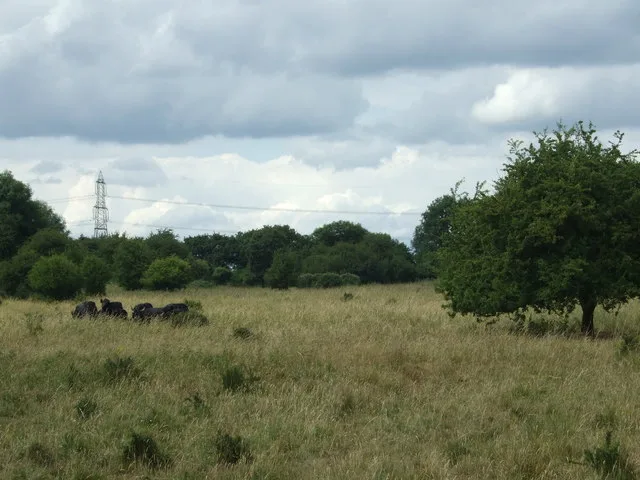 Castor Hanglands National Nature Reserve