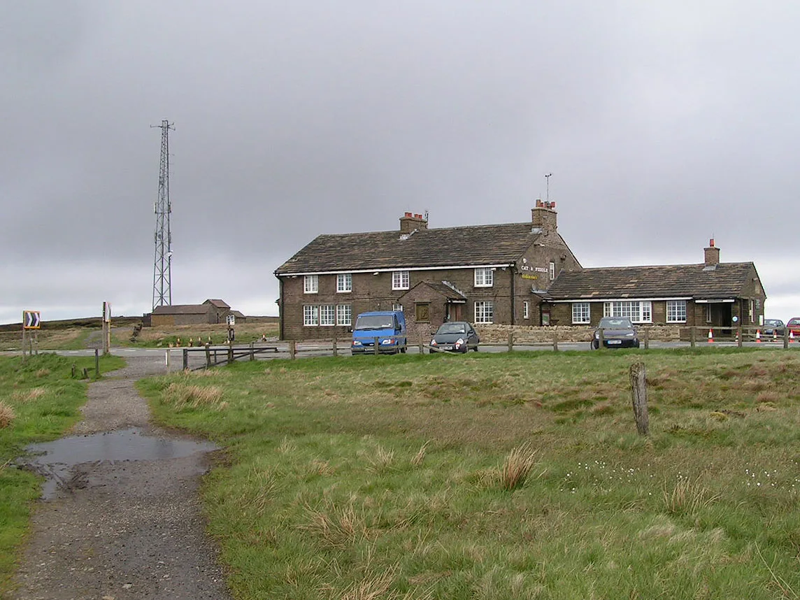 Cat & Fiddle