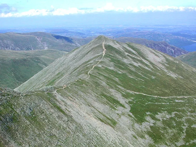Catstycam