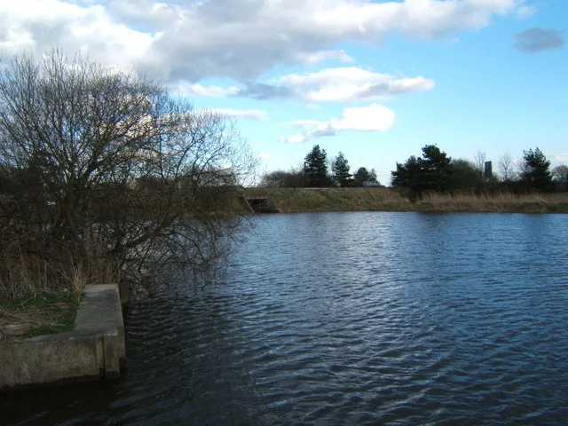 Cattawade Marshes