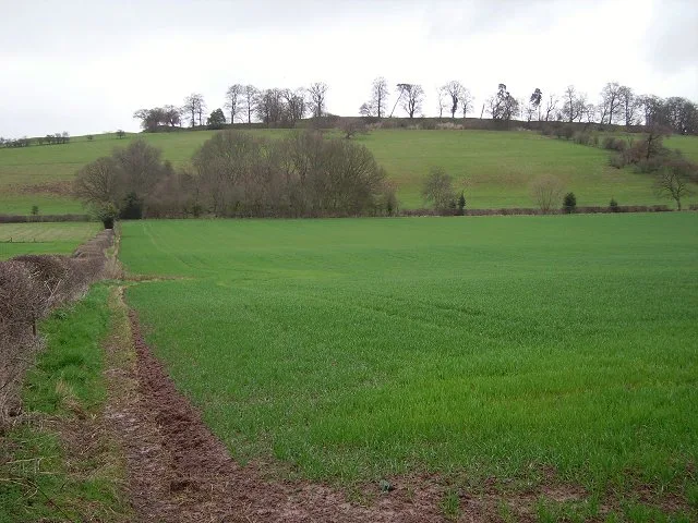 Caynham Camp, a large univallate hillfort 700m north west of Caynham