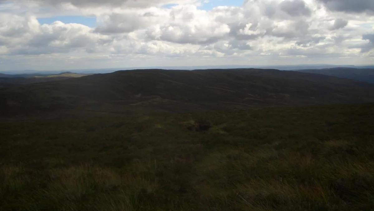 Cefn Gwyntog