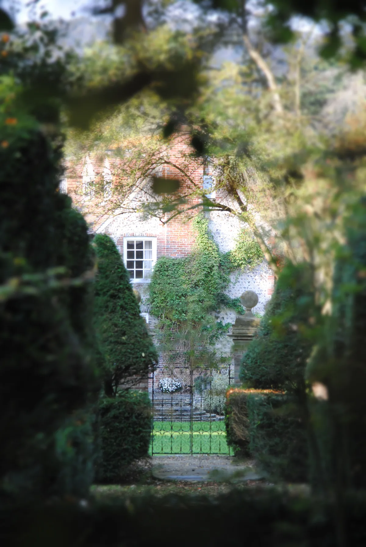 Charleston Manor