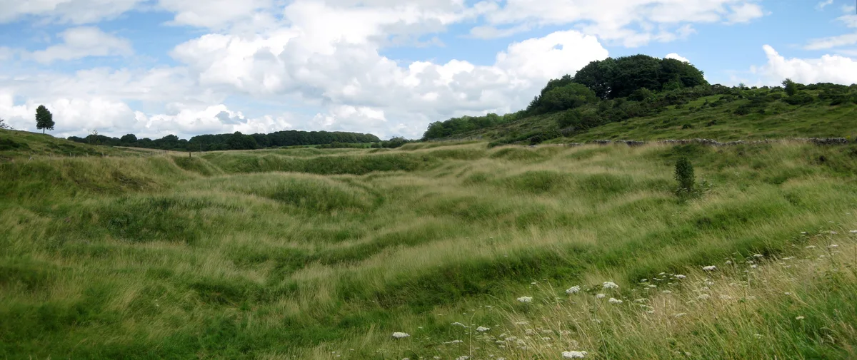 Charterhouse Roman Town