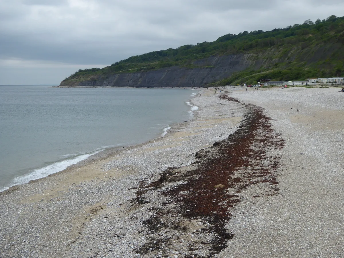 Chippel Bay