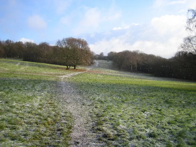Chorleywood Common