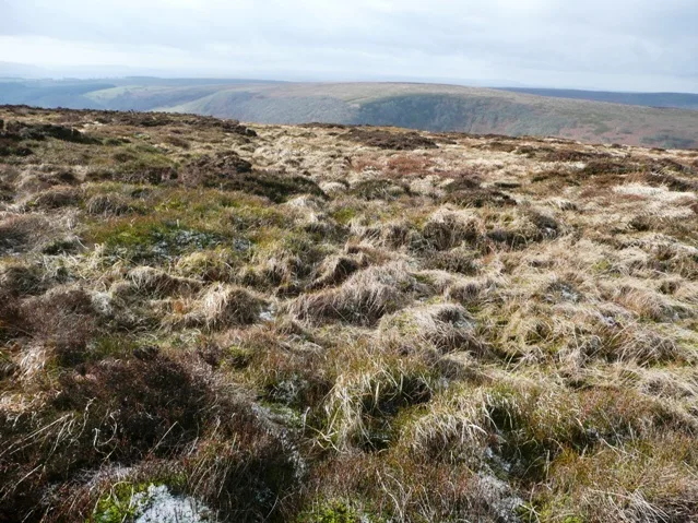 Coity Mountain