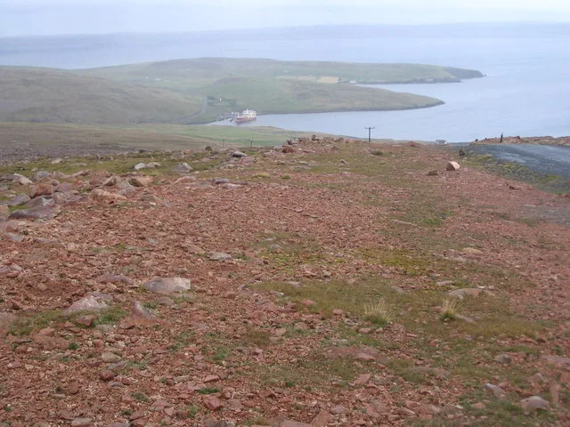 Colla Firth