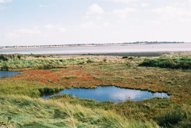Colne Estuary