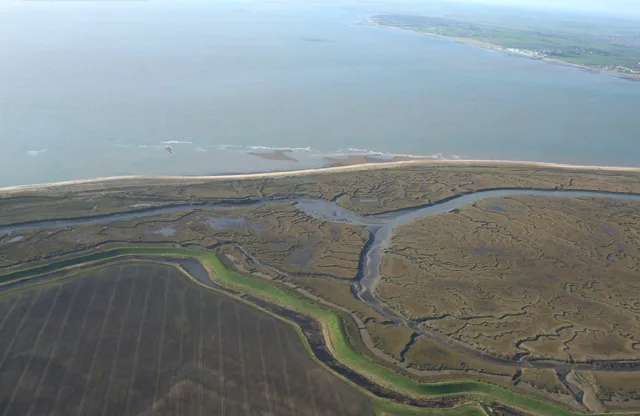Colne Point nature reserve