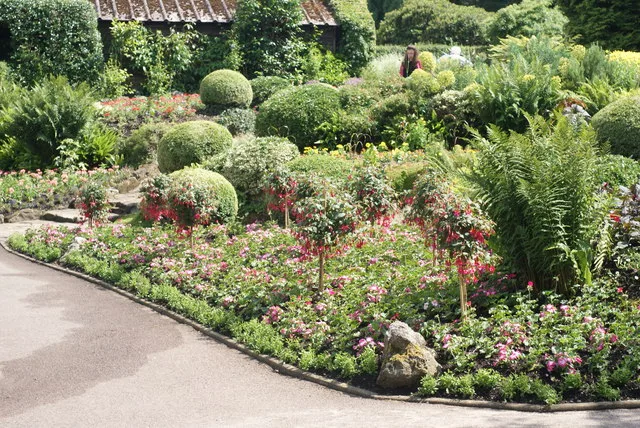 Coombe Wood