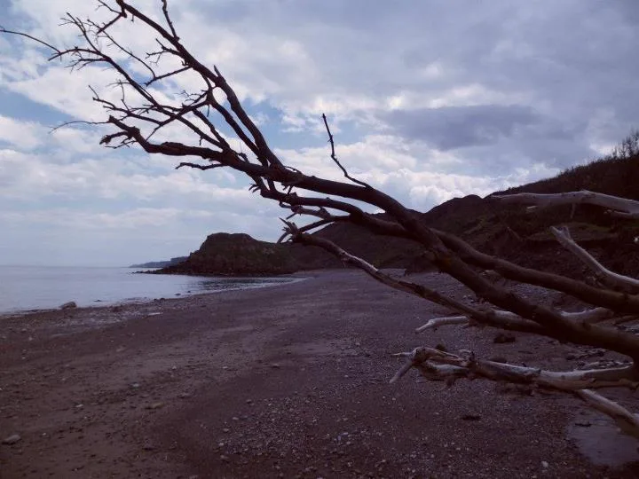 Cornelian Bay