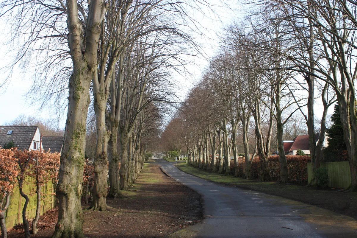 Corstorphine Hill