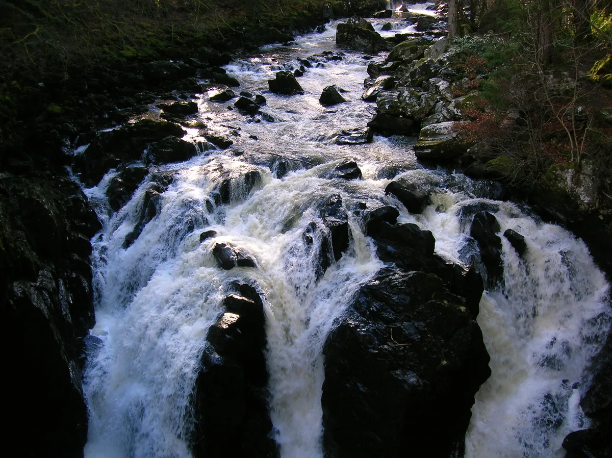 Craigvinean Forest
