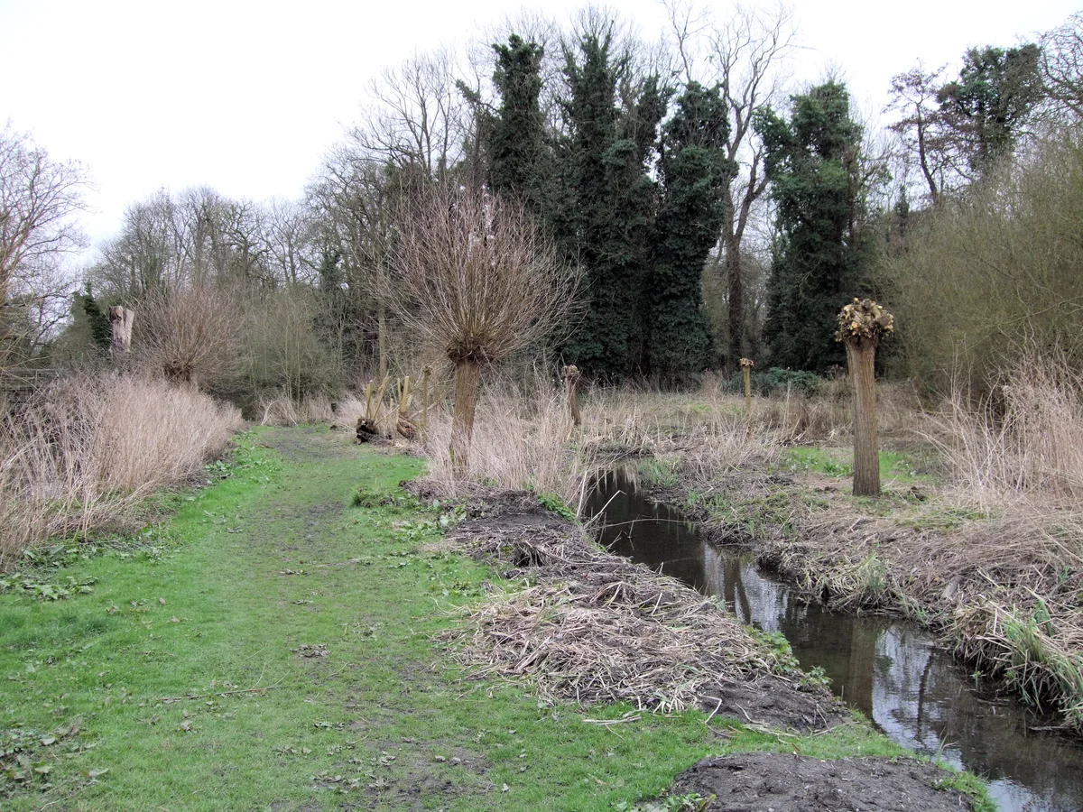 Crane Park Island