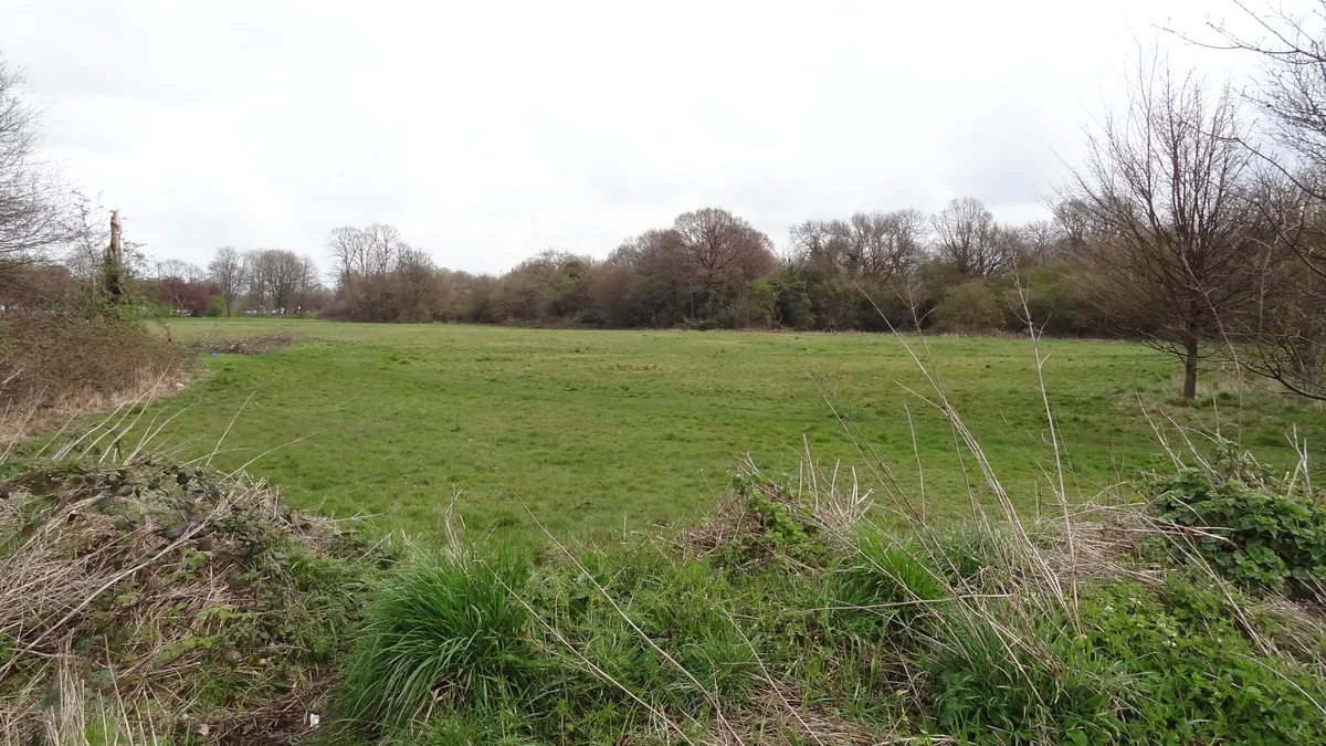 Cranmer Green