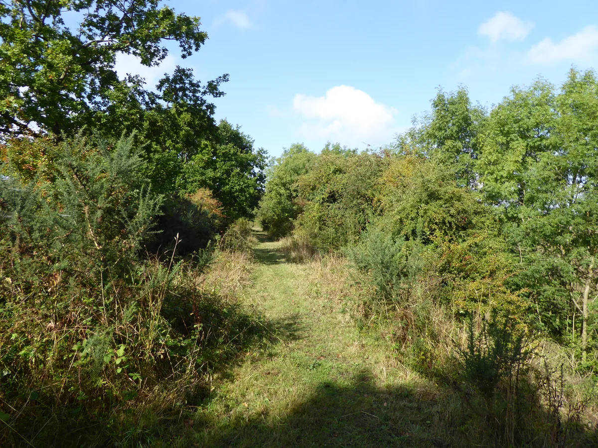 Cribb's Meadow