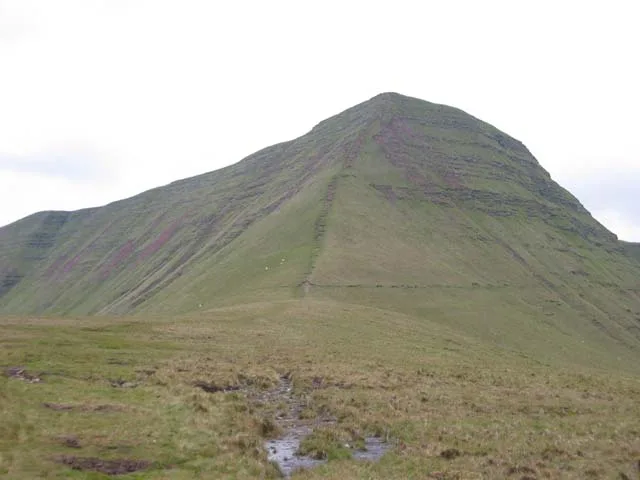 Cribyn