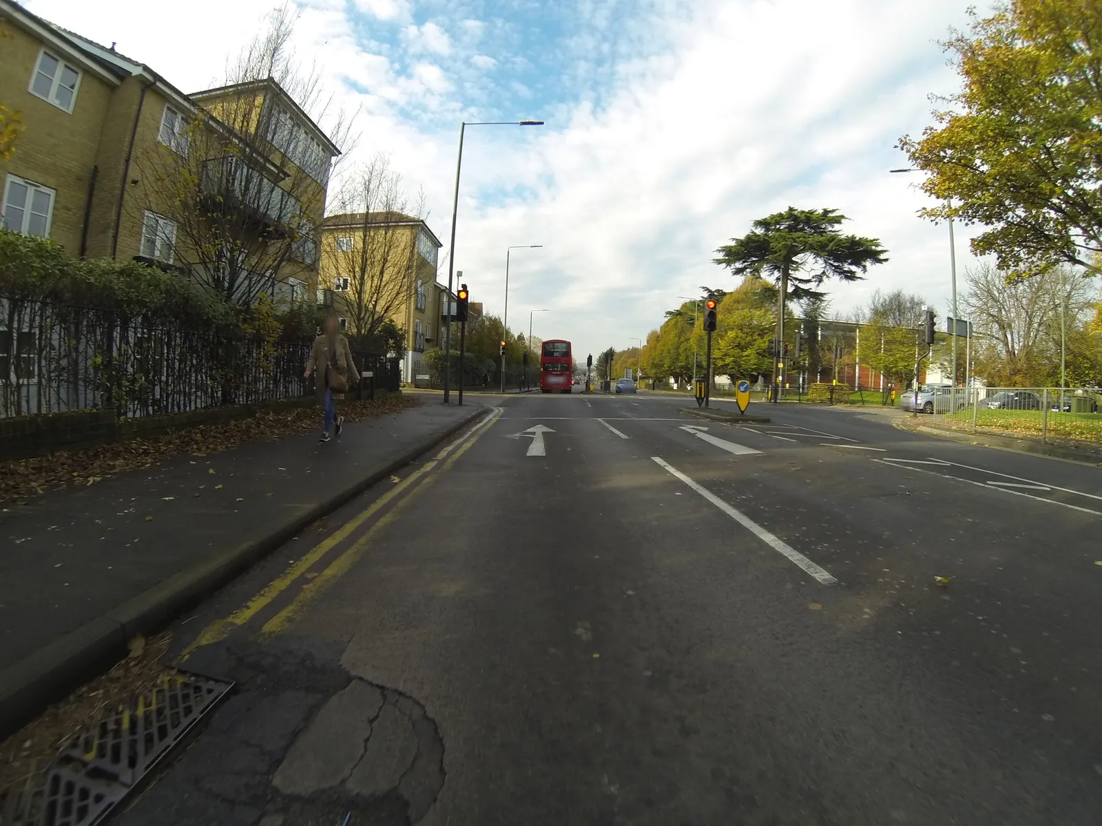 Crook Log — street-level view