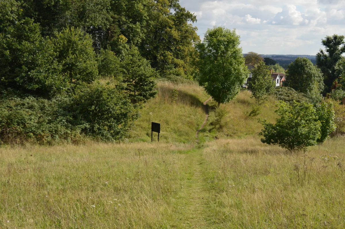 Cut-throat Meadow