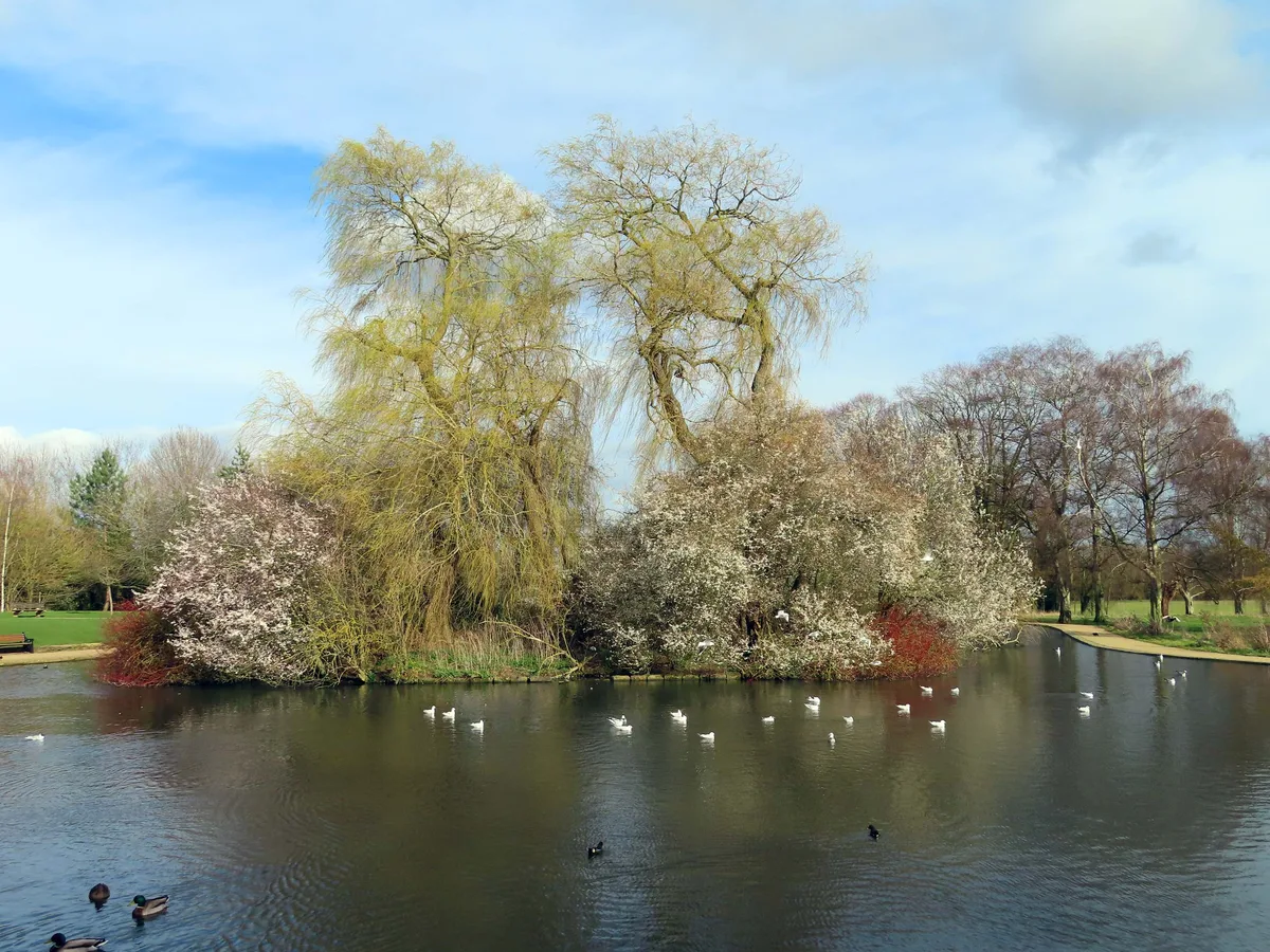 Cutteslowe Park