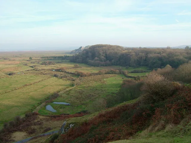 Cwm Ivy Woods